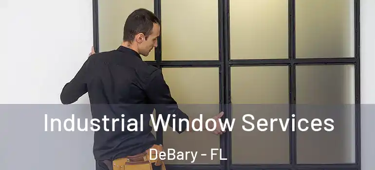  Industrial Window Services DeBary - FL